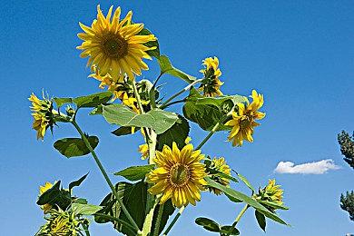 战术生存游戏《Space Prison》7月19日发售 Demo已上线