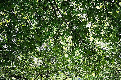 《幻灵降世录》独立拓展包“女巫的面纱”现已推出试玩Demo